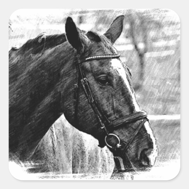 Adesivo Quadrado Desenho do Cavalo Branco Negro (Frente)