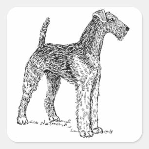 Adesivo Quadrado Desenho elegante do cão de Airedale Terrier