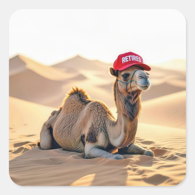 Adesivo Quadrado Desert Camel Wearing a Red Retired Cap (Frente)