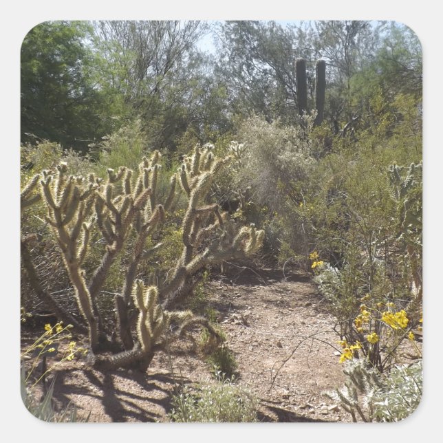 Adesivo Quadrado Deserto (Frente)