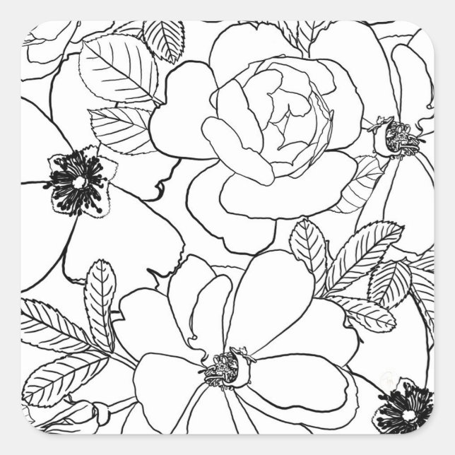 Adesivo Quadrado Design de Desenho de Linha Floral de Rosas Elegant (Frente)