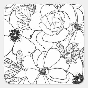 Adesivo Quadrado Design de Desenho de Linha Floral de Rosas Elegant