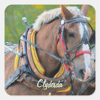 Adesivo Quadrado Design de equinos amantes de cavalos