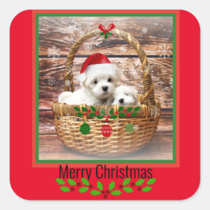 Adesivo Quadrado Design de Natal dos Puppies Malteses