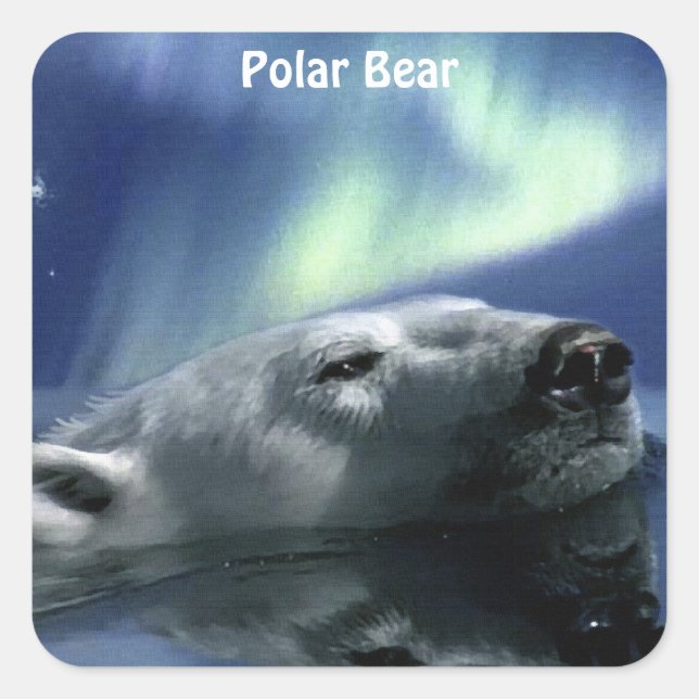 Adesivo Quadrado Design de Ursos para Animais e Animais Selvagens (Frente)