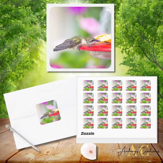Adesivo Quadrado Design Hummingbird #0624 (Criador carregado)
