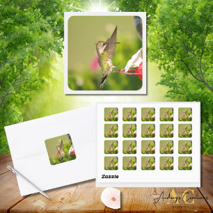 Adesivo Quadrado Design Hummingbird #108A0604