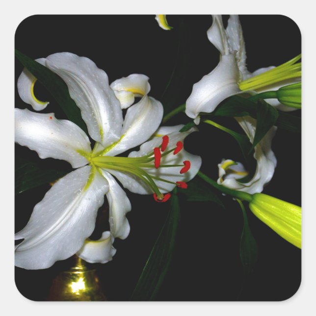 Adesivo Quadrado Design irlandês e Design de flores (Frente)