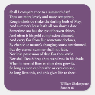 Adesivo Quadrado Devo comparar a um dia de verão?