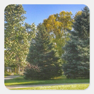 Adesivo Quadrado Dia Brilhante No Parque