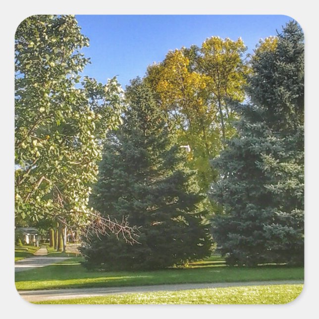 Adesivo Quadrado Dia Brilhante No Parque (Frente)