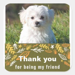 Adesivo Quadrado Dia da Amizade