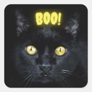 Adesivo Quadrado Dia das Bruxas Negra de Gato Negro Spooky
