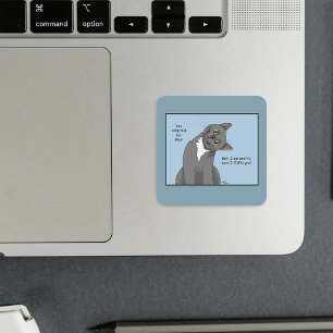 Adesivo Quadrado Dia de as mães de Adoção de Mães Cat