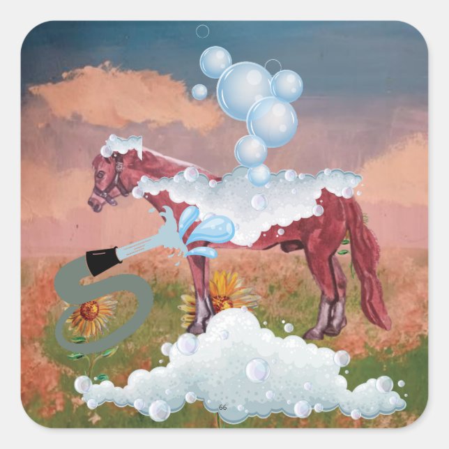 Adesivo Quadrado dia de banho de cavalo (Frente)