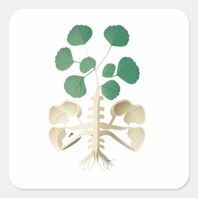 Adesivo Quadrado Dia de São Patrício de Shamrock de sorte (Frente)