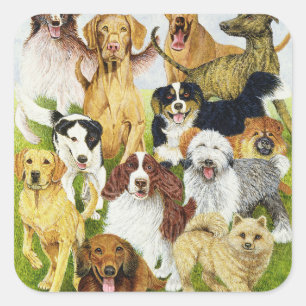 Adesivo Quadrado Dias de cão