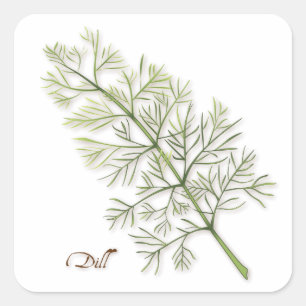 Adesivo Quadrado Dill Herb Square Sticker