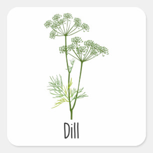 Adesivo Quadrado Dill Spices Herb