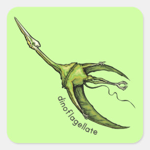 Adesivo Quadrado Dinoflagellate