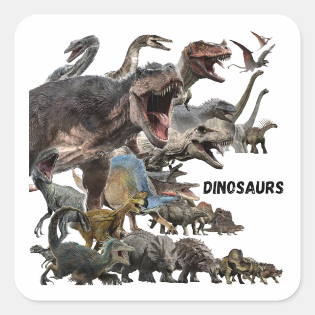 Adesivo Quadrado Dinosaurs  (Frente)