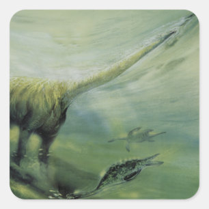 Adesivo Quadrado Dinossauros Antigos, Brachiosaurus Nadando no Ocea