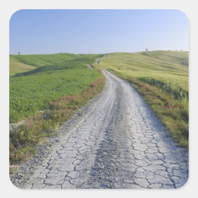 Adesivo Quadrado Dirt Road through Fields and Colinas, Val d'Orcia, (Frente)