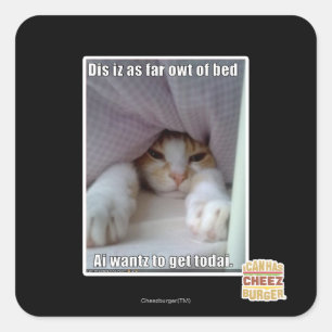Adesivo Quadrado Dis iz tão longe da cama.