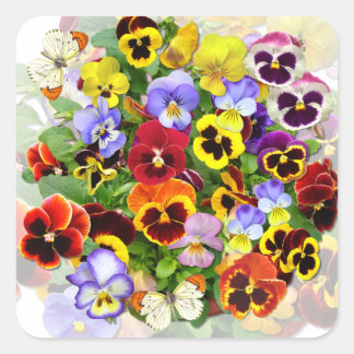 Adesivo Quadrado Disposição Colorida de Pansy com Esquadra de Borbo