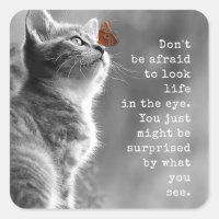 Dito Inspiracional de Gatinho Bonito
