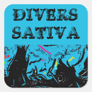 ADESIVO QUADRADO DIVERS SATIVA