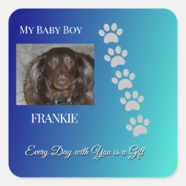 Adesivo Quadrado Divine Pawprints Tribute