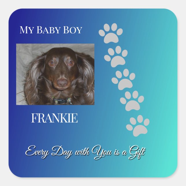 Adesivo Quadrado Divine Pawprints Tribute (Frente)