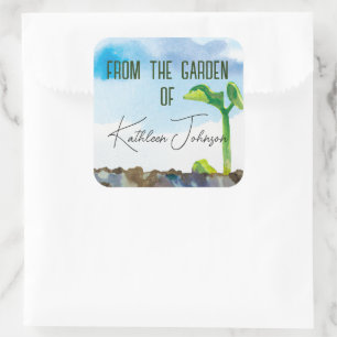 Adesivo Quadrado Do Jardim Do Vinheta