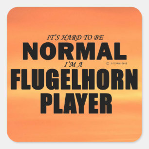 Adesivo Quadrado do Jogador de Plug-lho Normal