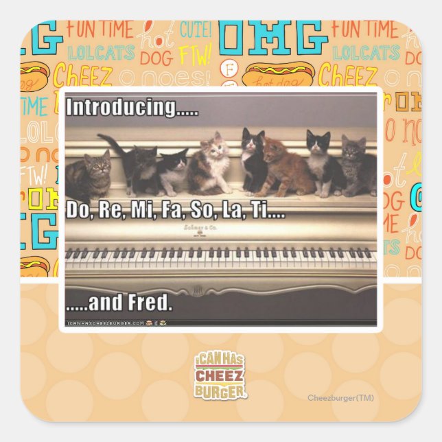 Adesivo Quadrado Do, Re, Mi, Fa, La, Ti, Fred (Frente)