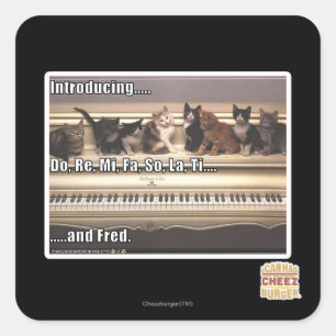 Adesivo Quadrado Do, Re, Mi, Fa, La, Ti, Fred