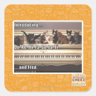 Adesivo Quadrado Do, Re, Mi, Fa, La, Ti, Fred