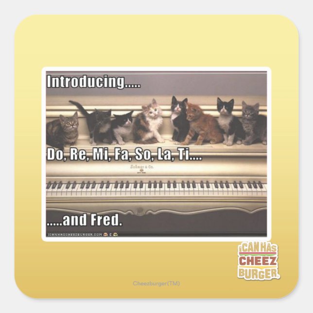 Adesivo Quadrado Do, Re, Mi, Fa, La, Ti, Fred (Frente)