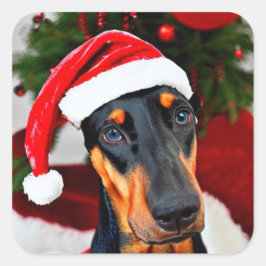 Adesivo Quadrado Doberman Santa Hat