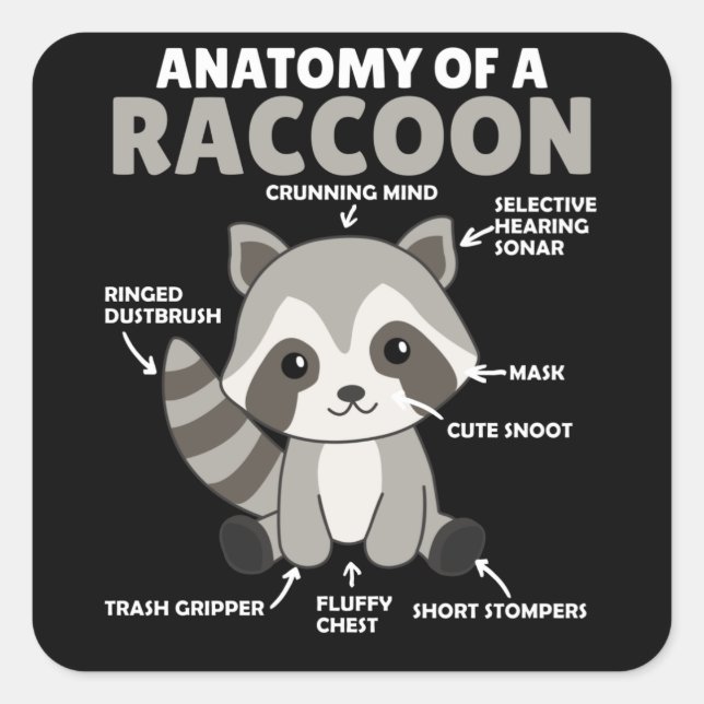 Adesivo Quadrado Doce Raccoon Explicação Anatomia De Um Raccoon (Frente)