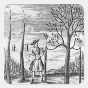 Adesivo Quadrado Doenças da jardinagem e da planta