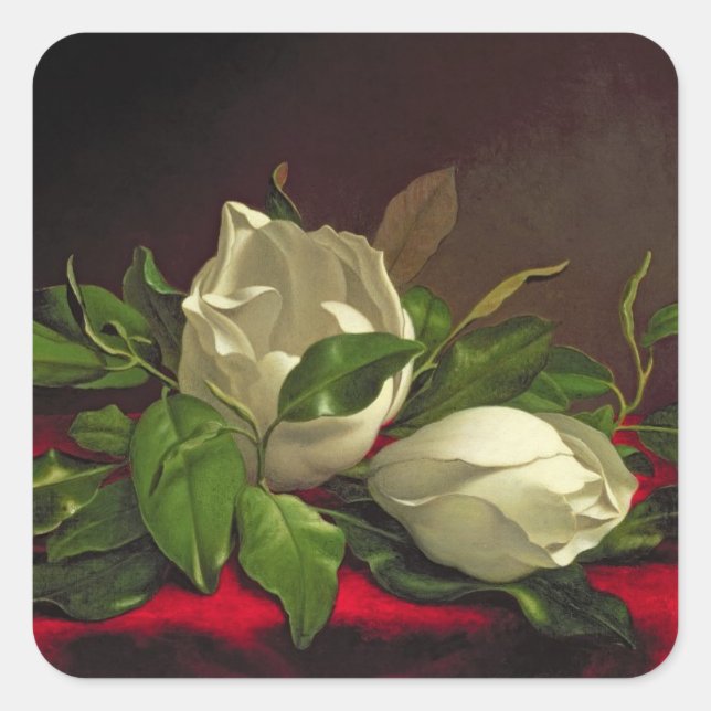 Adesivo Quadrado Doenças do (Frente)