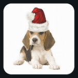 Adesivo Quadrado Dogs~Original Ditzy Sticker~Beagle~Christmas<br><div class="desc">Dogs~Original Ditzy Sticker~Beagle~Christmas</div>