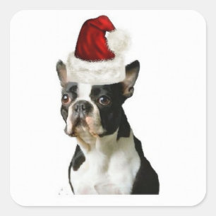 Adesivo Quadrado Dogs~Original Ditzy Sticker~Boston Terrier