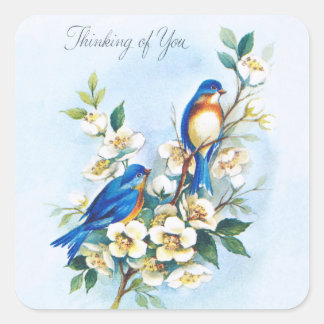 Adesivo Quadrado Dois Bluebirds