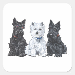 Adesivo Quadrado Dois Scotties e um Westie