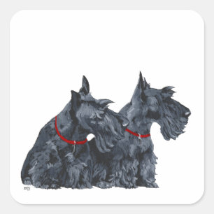 Adesivo Quadrado Dois terrier escoceses curiosos