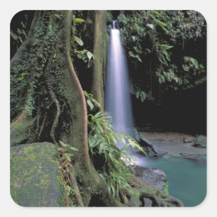 Adesivo Quadrado Dominica, Lago Esmeralda, Cachoeira.