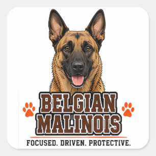 Adesivo Quadrado 🐾 Dono de Malinois Belga Orgulho da Família 🐾
